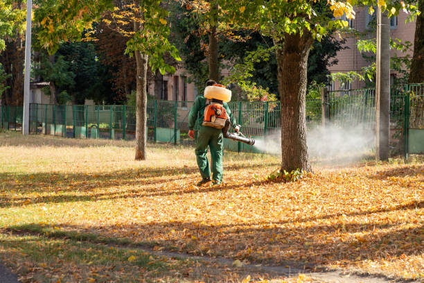 Wildlife Control Services in North Canton, OH